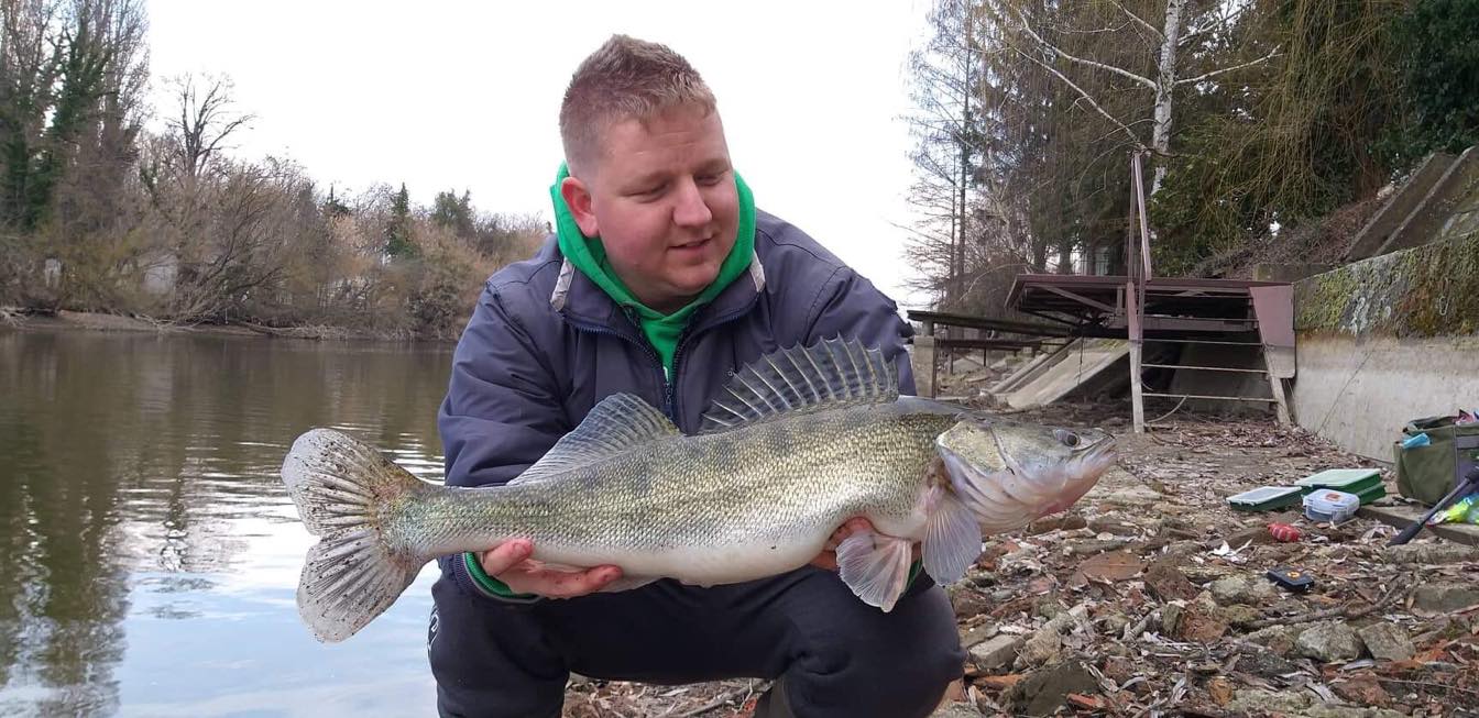 Téli süllő. Jól látszik a háttérben hoyg téli vízszintnél készült a kép. Fotó : Tóth Attila