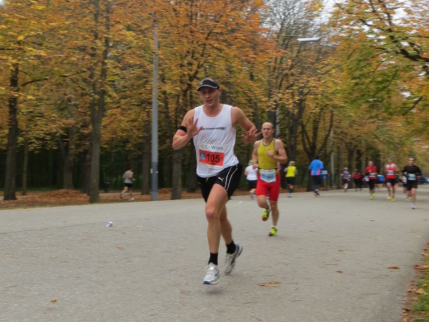 Herbstmaraton2013.jpg