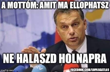 amit_ma_ellophatsz.jpg