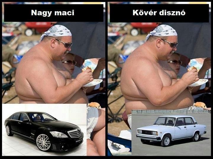 nagy_maci_kover_diszno.jpg