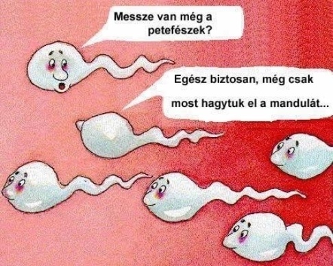 petefeszek_neha_messze_van.jpg
