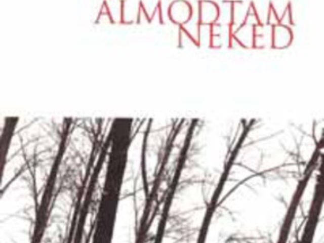 A posztmodern irodalom - a legbensőbb gondolatok, érzések irodalma