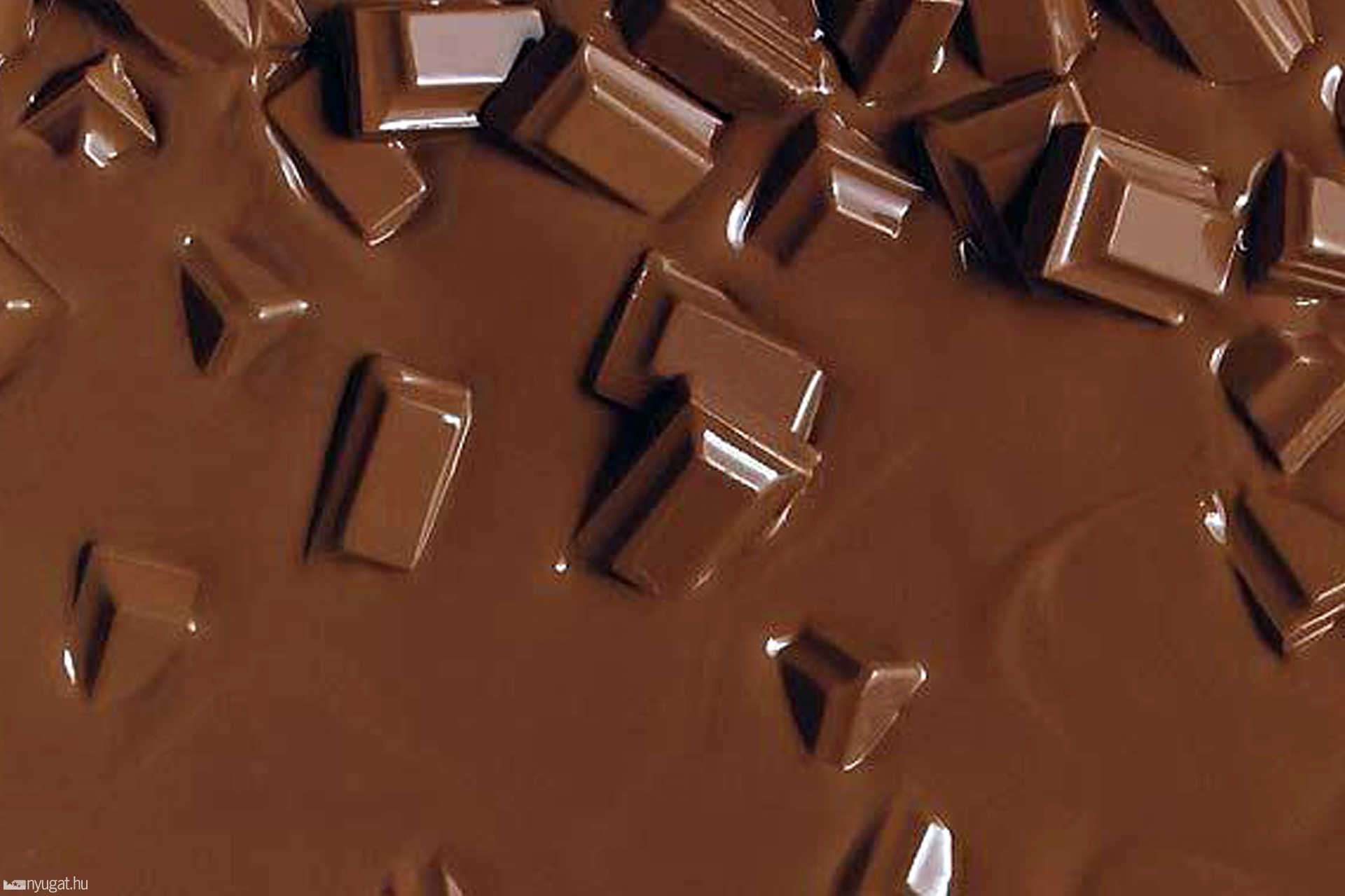 csoki.jpg