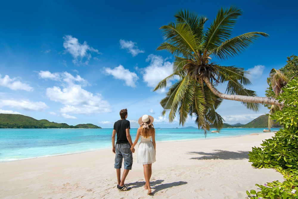 fitzroy-island-the-ultimate-tropical-destination-for-an-unforgettable-honeymoon.jpg