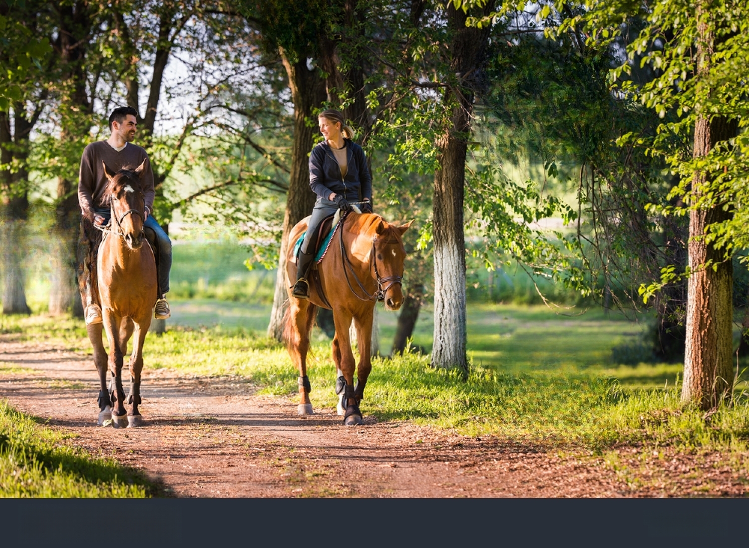 stock-photo-young-couple-in-love-riding-a-horse-427131805-transformed.jpeg