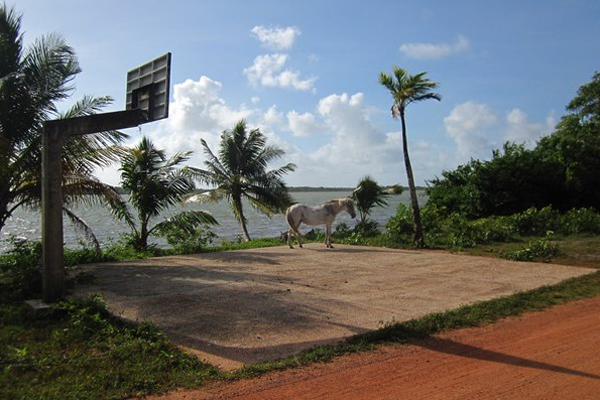 belize-basketball-court.png