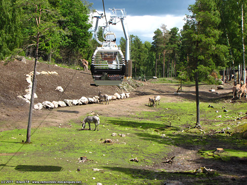 seilbahn-neu-funivie5.jpg