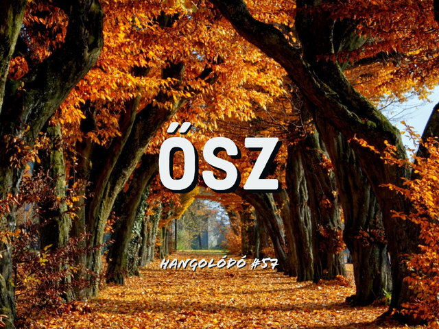 Hangolódó #57 | Ősz