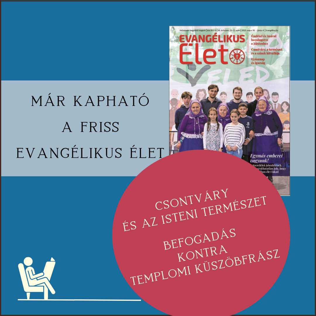 credo_evelet_1.png