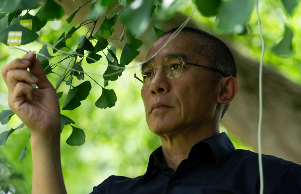 Szelíd összhangban