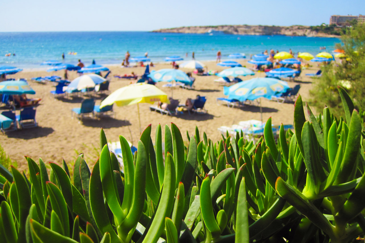 holiday-on-beach-in-summer.jpg