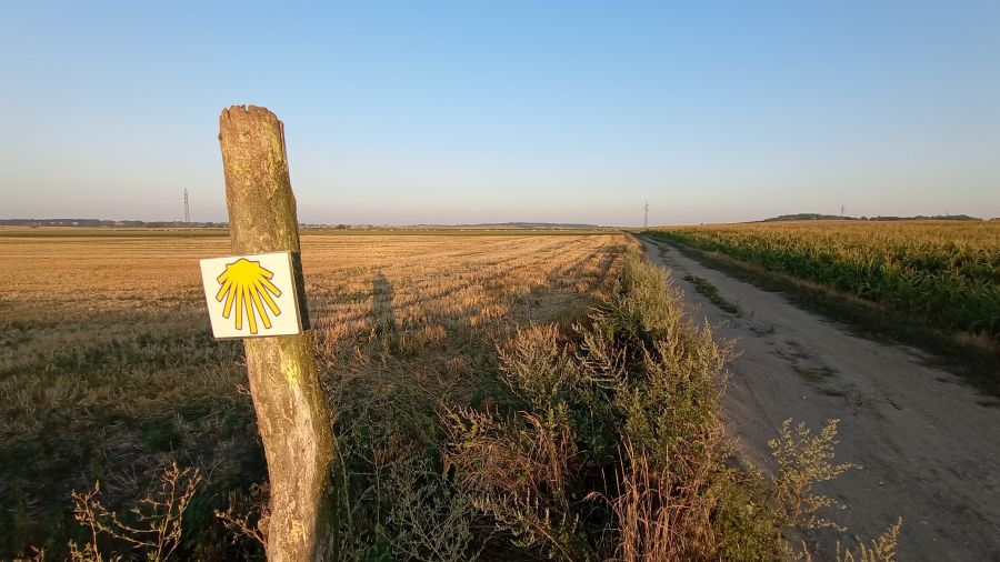 Mire jó a Camino?