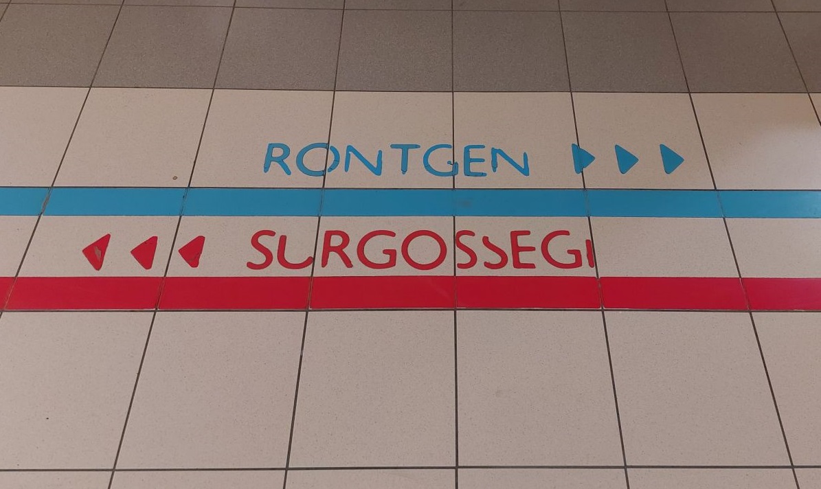 surgossegi.jpg