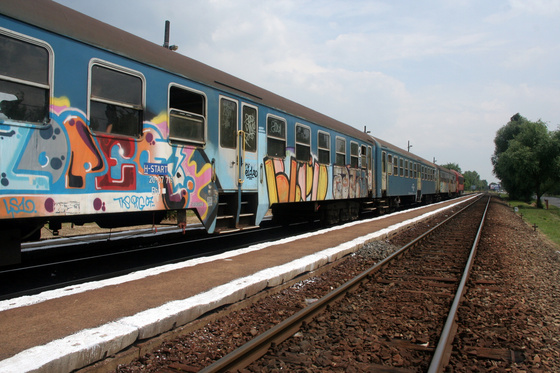 Tevan Imre: IMG 6810