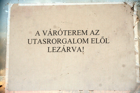 Tevan Imre: IMG 1544-1