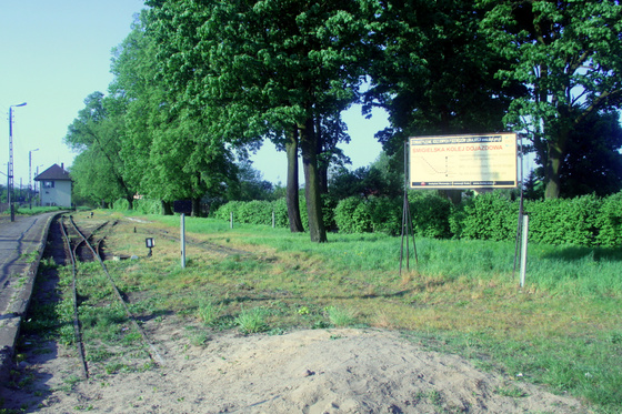 Tevan Imre: IMG 0175