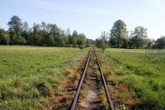Tevan Imre: IMG 0188