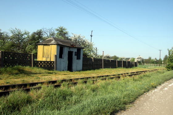 Tevan Imre: IMG 0190