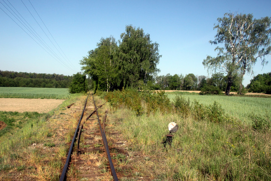 Tevan Imre: IMG 0192