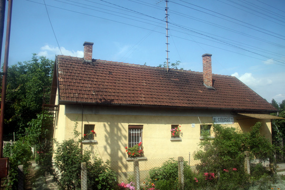 Tevan Imre: IMG 2292