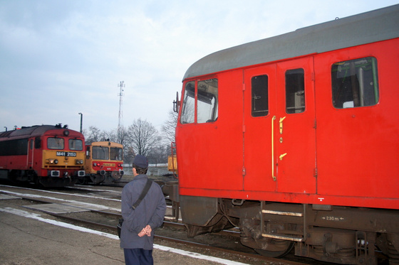 Tevan Imre: IMG 6801