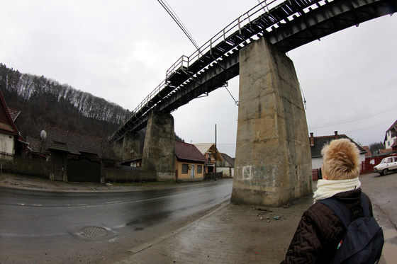 Tevan Imre: IMG 9355