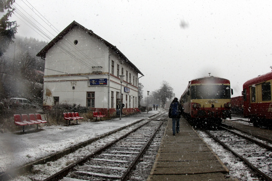 Tevan Imre: IMG 9431