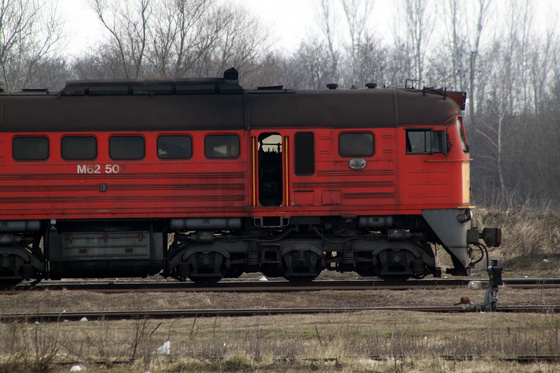 Tevan Imre: IMG 1114
