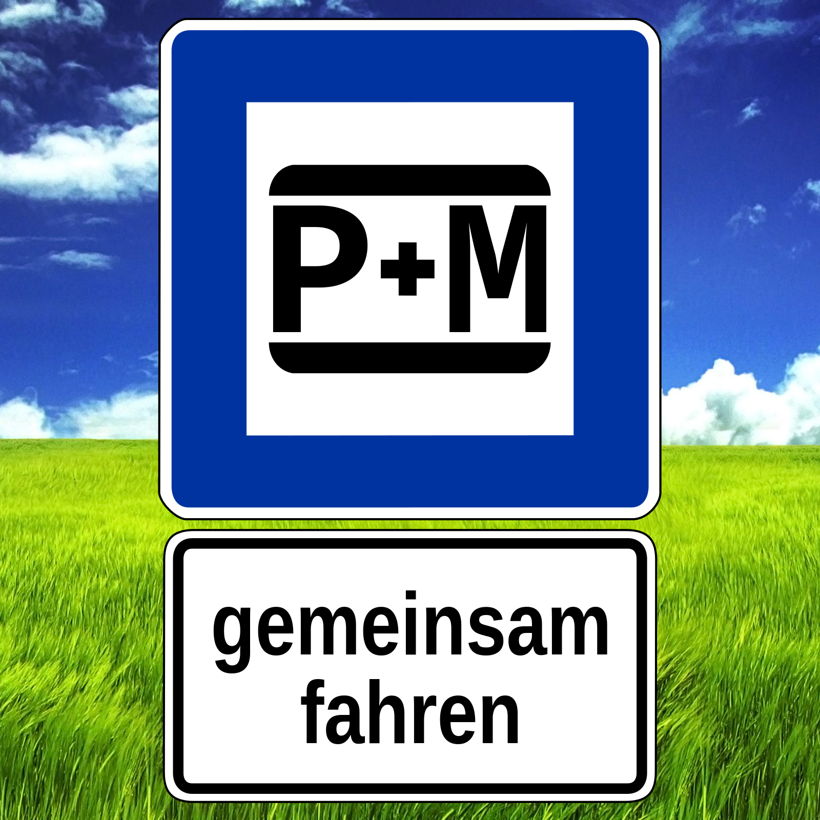 P+M.png