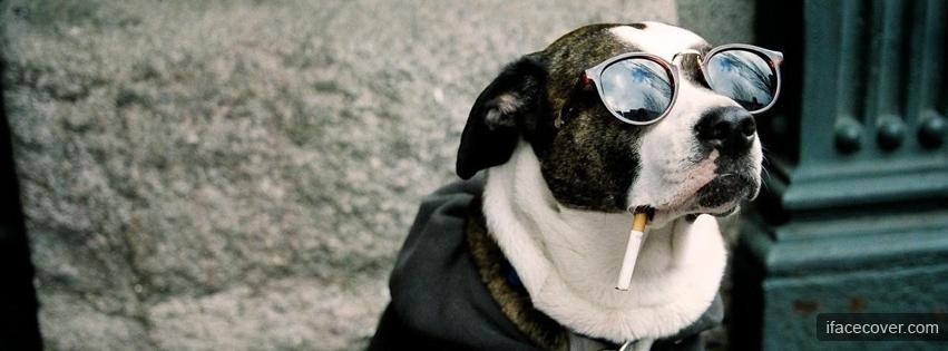 smoking_dog-t2.jpg