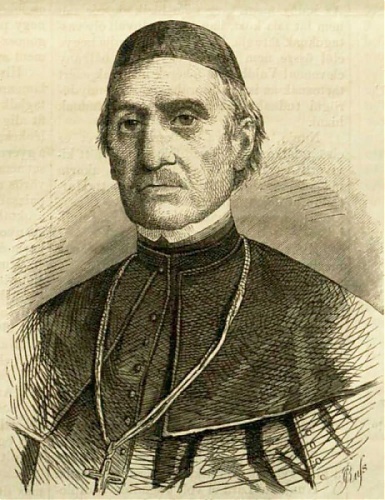 7997_x500.jpg