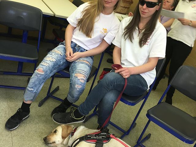 Ismerkedés a vakvezető kutyussal és a gazdijával:) #kozepsuli #kozepsulisorozat #dog #help #changetheworld