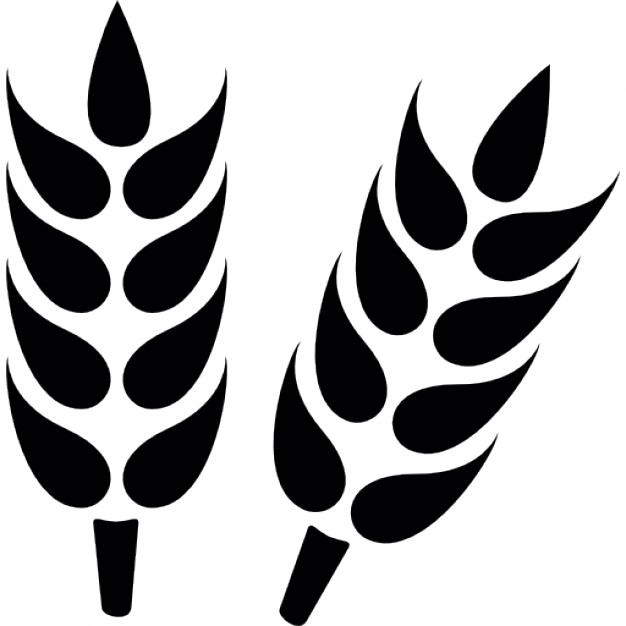 wheat-grain.jpg