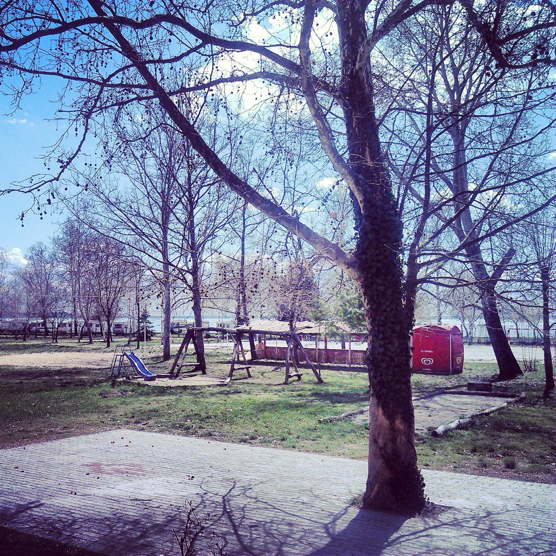 IMG_20130414_213543.jpg