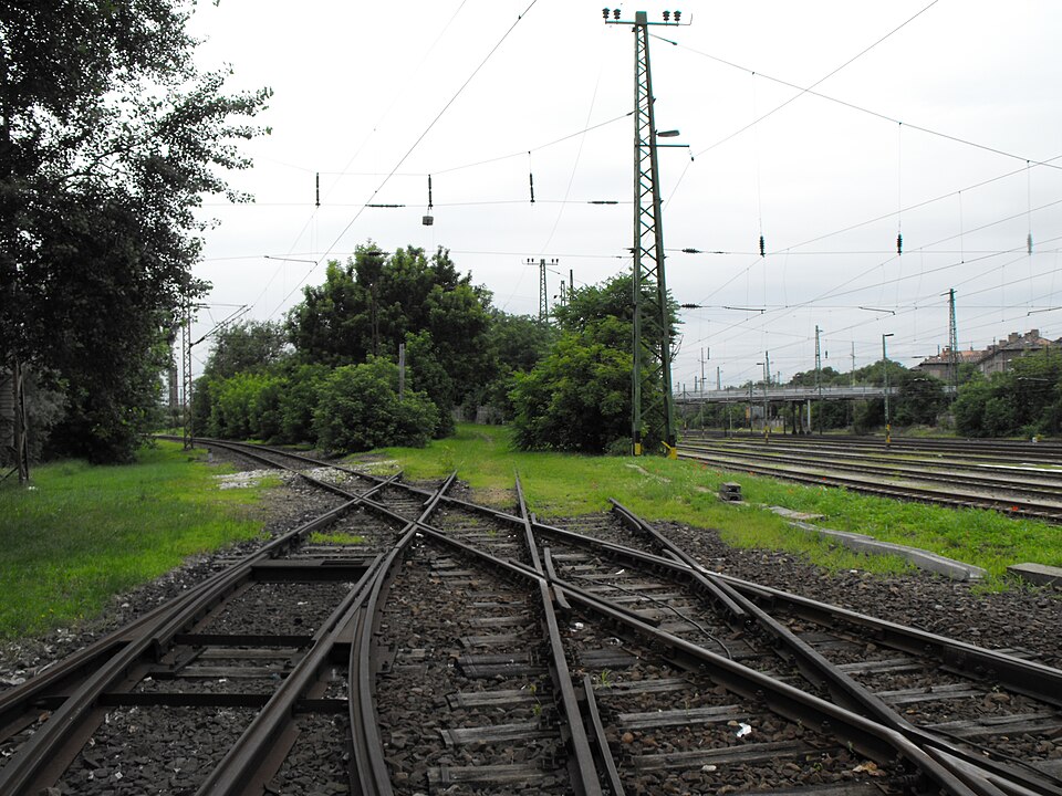 kiralyvagany_es_a_29-es_villamosvonal_2.jpg