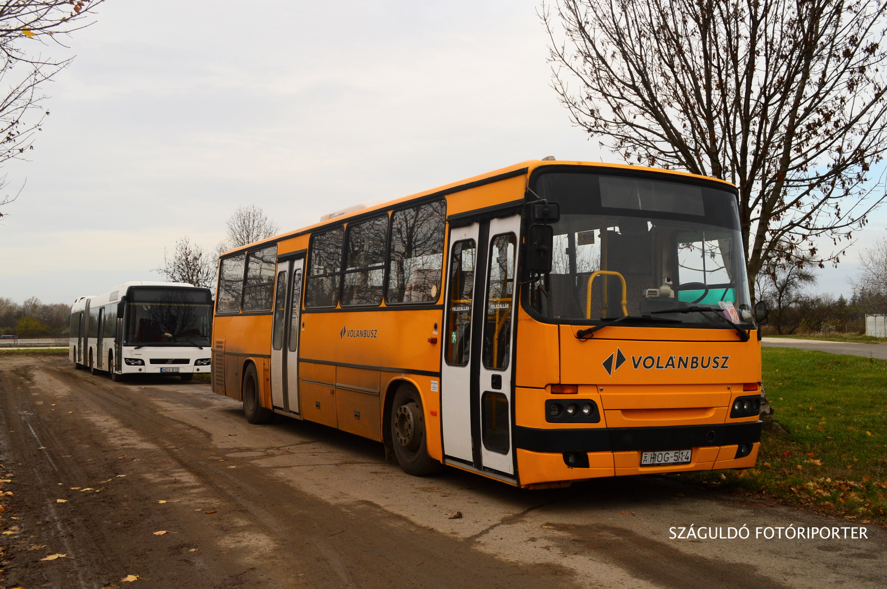 Algyőn, az Ady Majorba kijáró forda kocsijaként