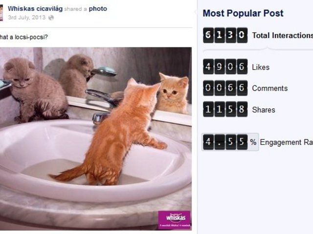 TOP3 magyar Facebook-bejegyzés 2013. júliusában