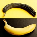 Három banán
