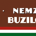 Népművészet