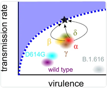 sarscov2_transmissionvirulence.jpg