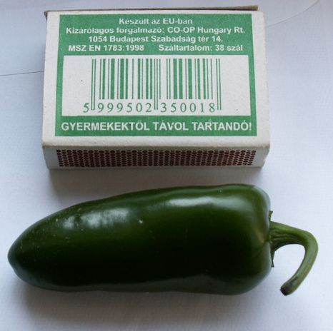 Jalapeno.jpg