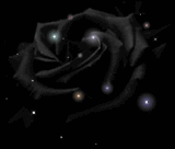 black-fairy-rose-glitter.gif