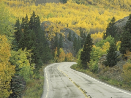 adam-jones-highway-82-through-autumn-aspen-trees-san-isabel-national-forest-colorado-usa.jpg