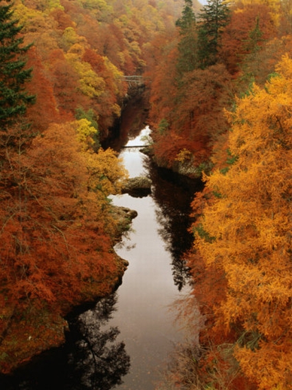 bethune-carmichael-autumn-foliage-by-tummel-river-killiecrankie-united-kingdom.jpg