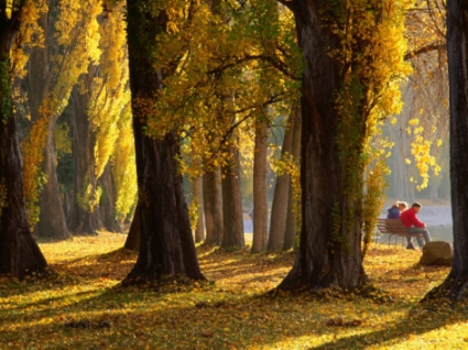 oliver-strewe-couple-sitting-on-bench-in-autumn-lake-wanaka-wanaka-new-zealand.jpg