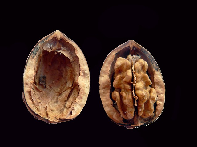 walnut-13984_640.jpg