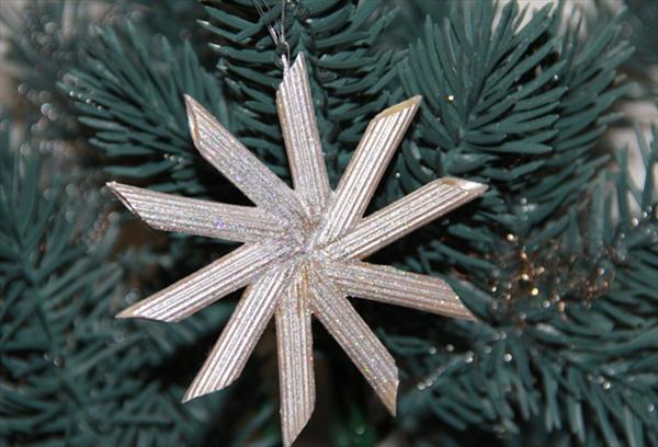 christmas-crafts-kids-tree-ornaments-pasta-silver-star.jpg