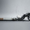 Nemzeti Együttdohányzás Rendszere