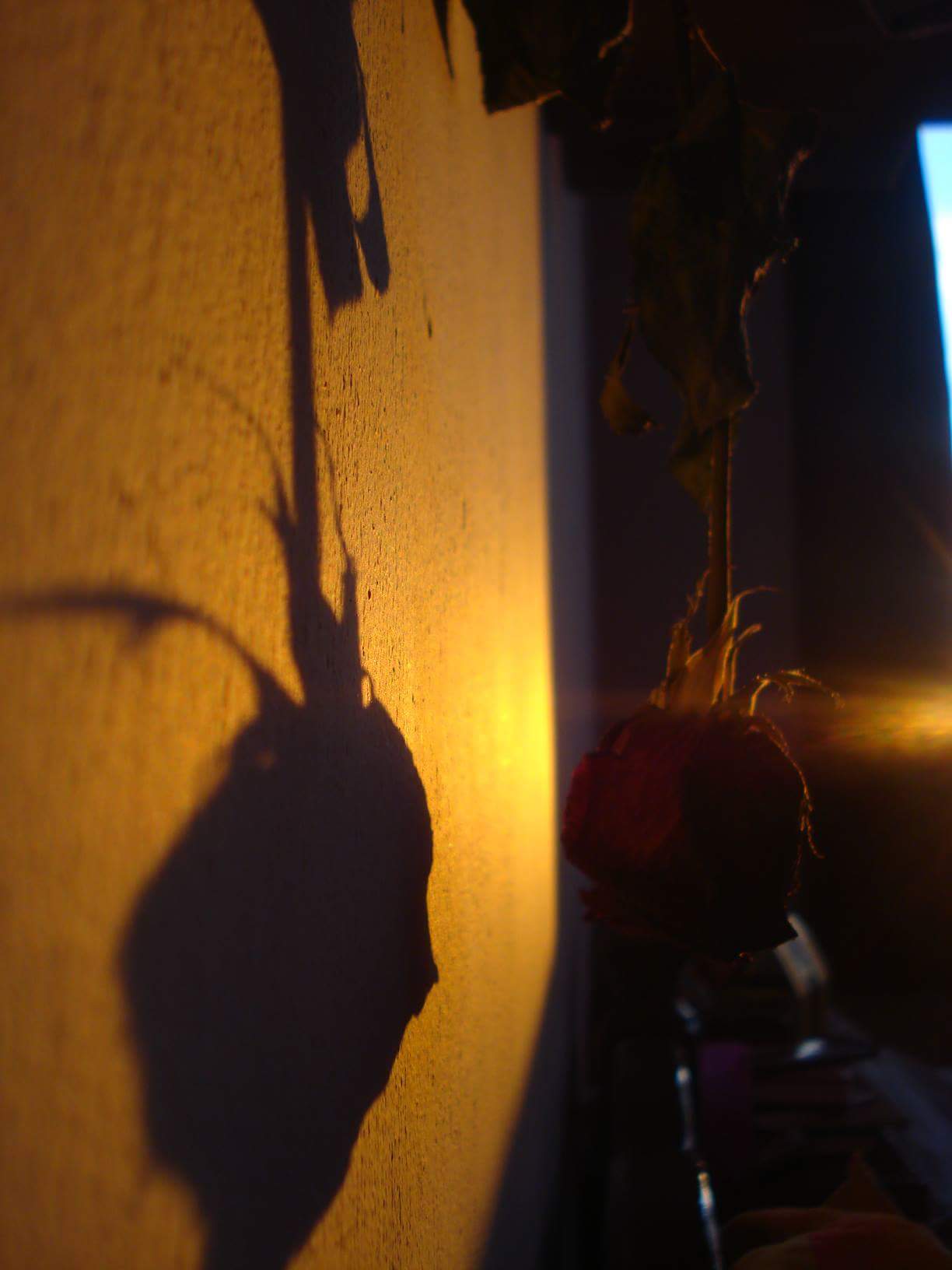 received_908850299167915.jpeg