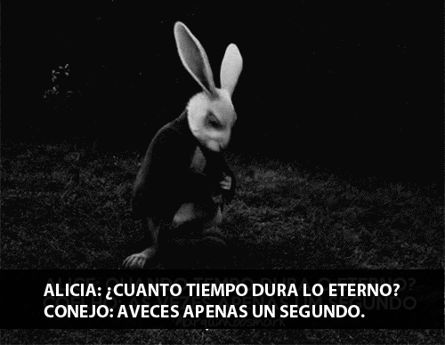 tumblr_nv08r28jiv1u9pceto1_500.gif